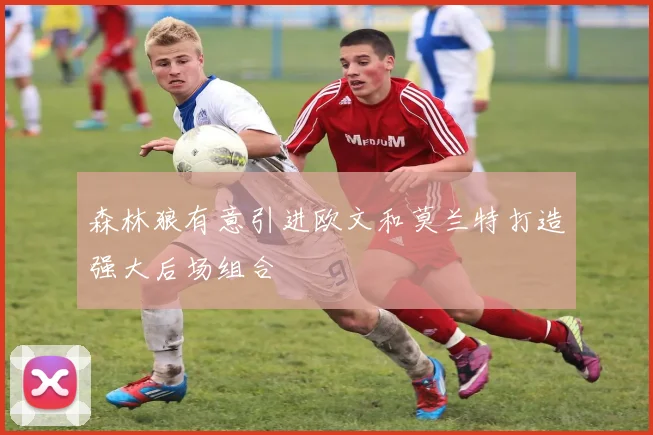 森林狼有意引进欧文和莫兰特打造强大后场组合